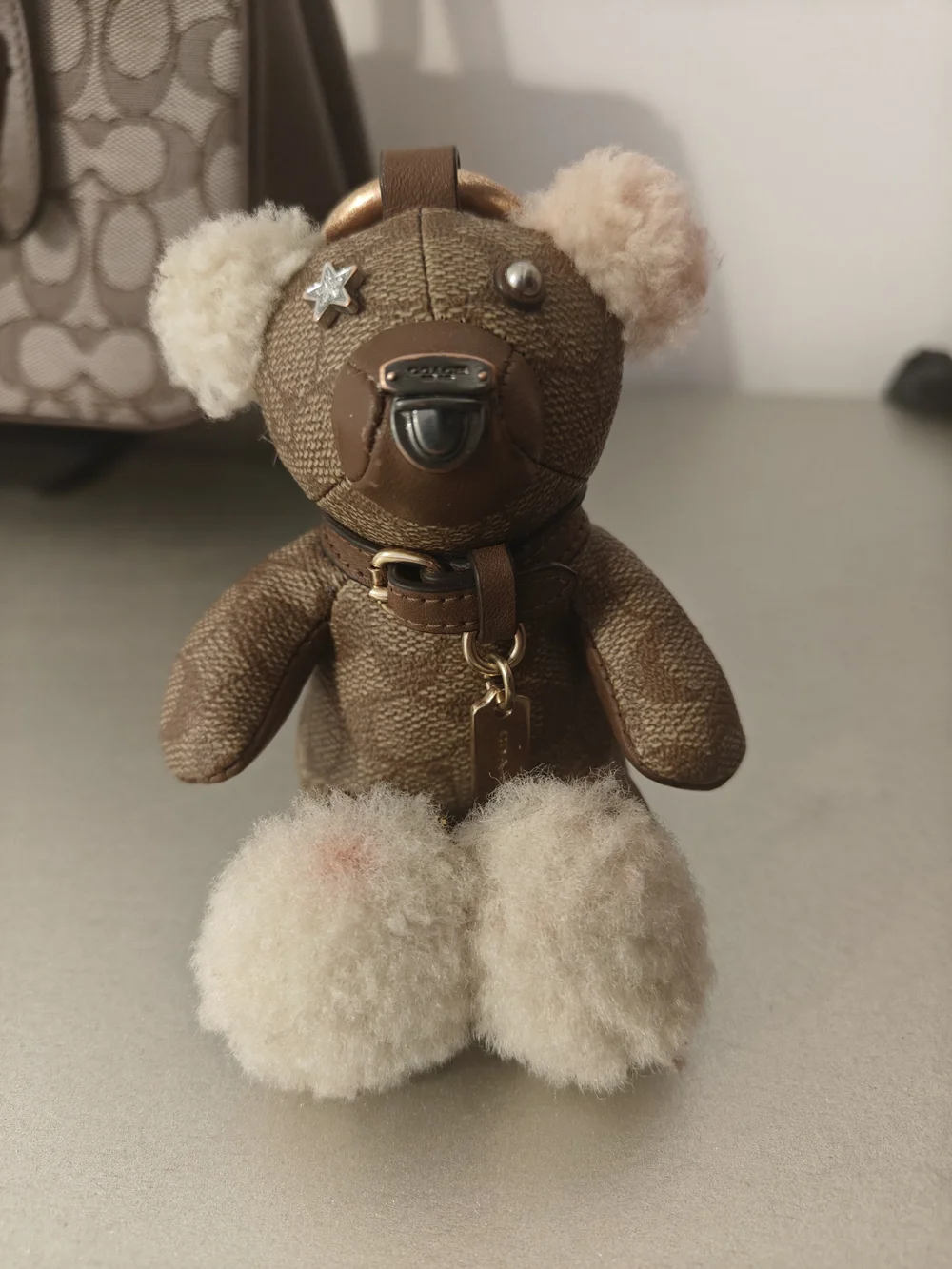 Coach Teddy Bear